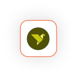 Custom qr code generator